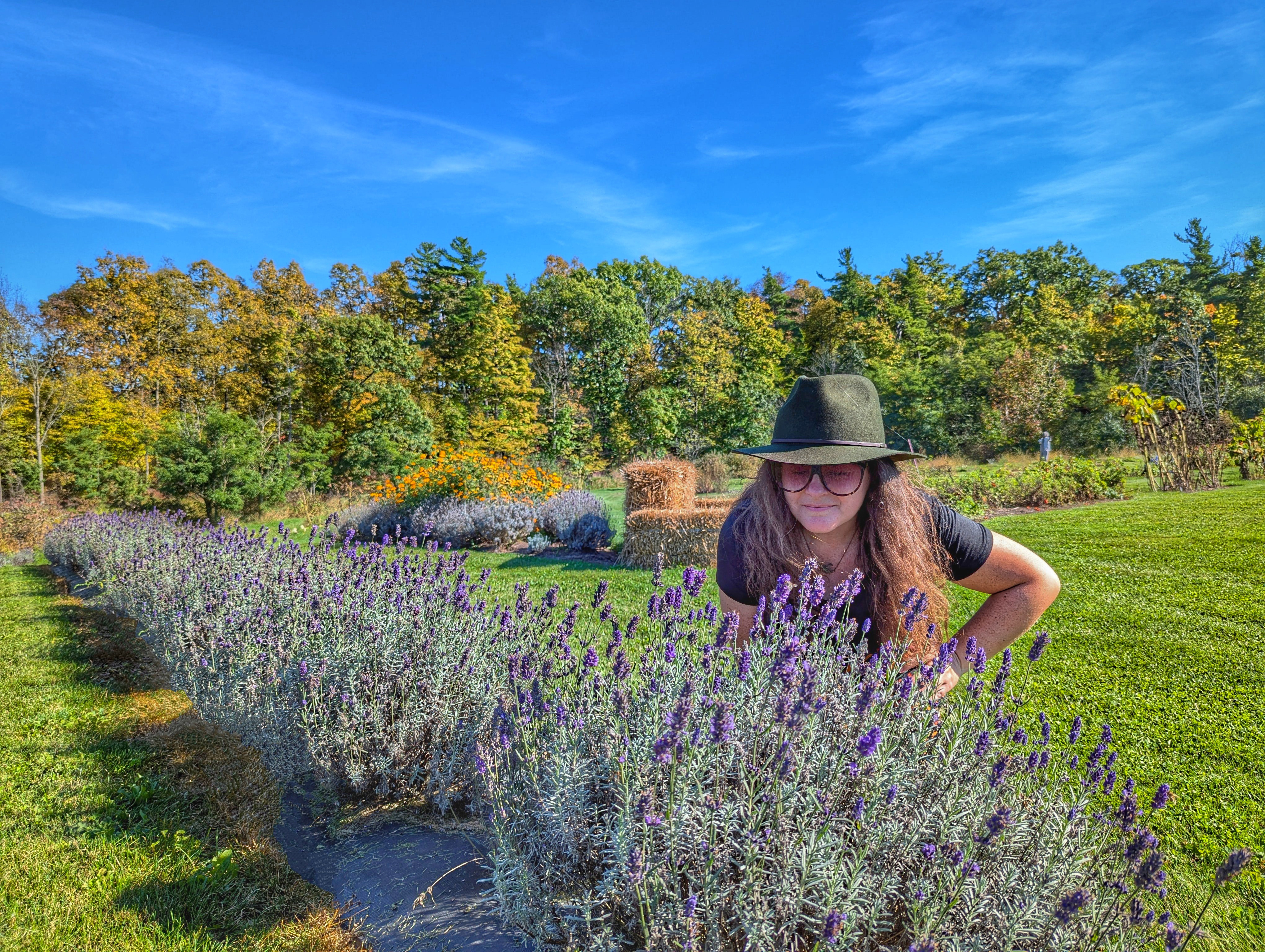 A woman smells flowers in a lavender field