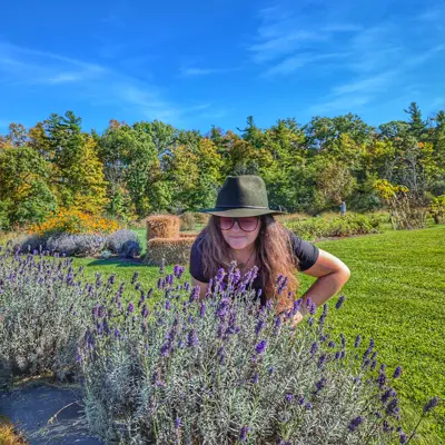 A woman smells flowers in a lavender field