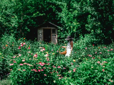 Girl in Flower Field