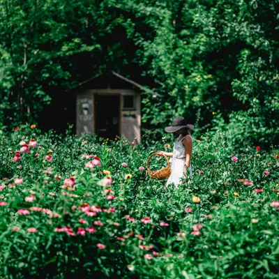Girl in Flower Field