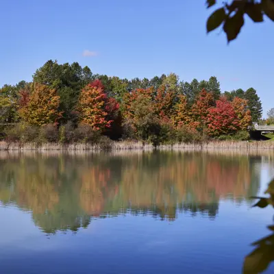 Fall leaves reflected in water