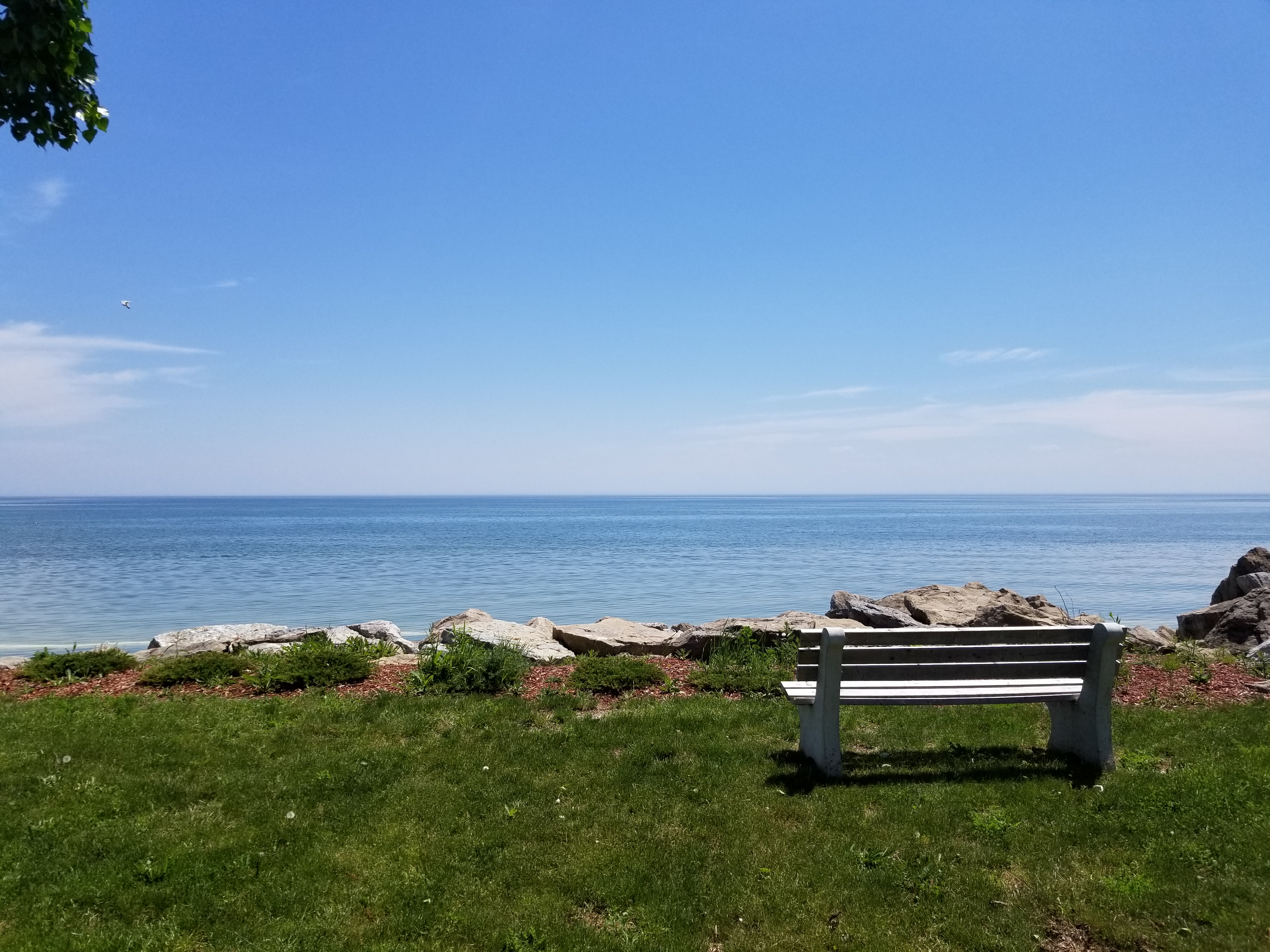 A bench sits at the edge of Lake Erie