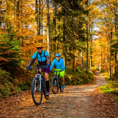 Biking through the forest in the fall