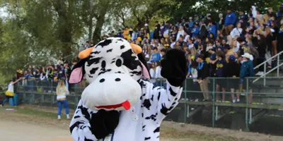 Cow mascot at the Caledonia Fair