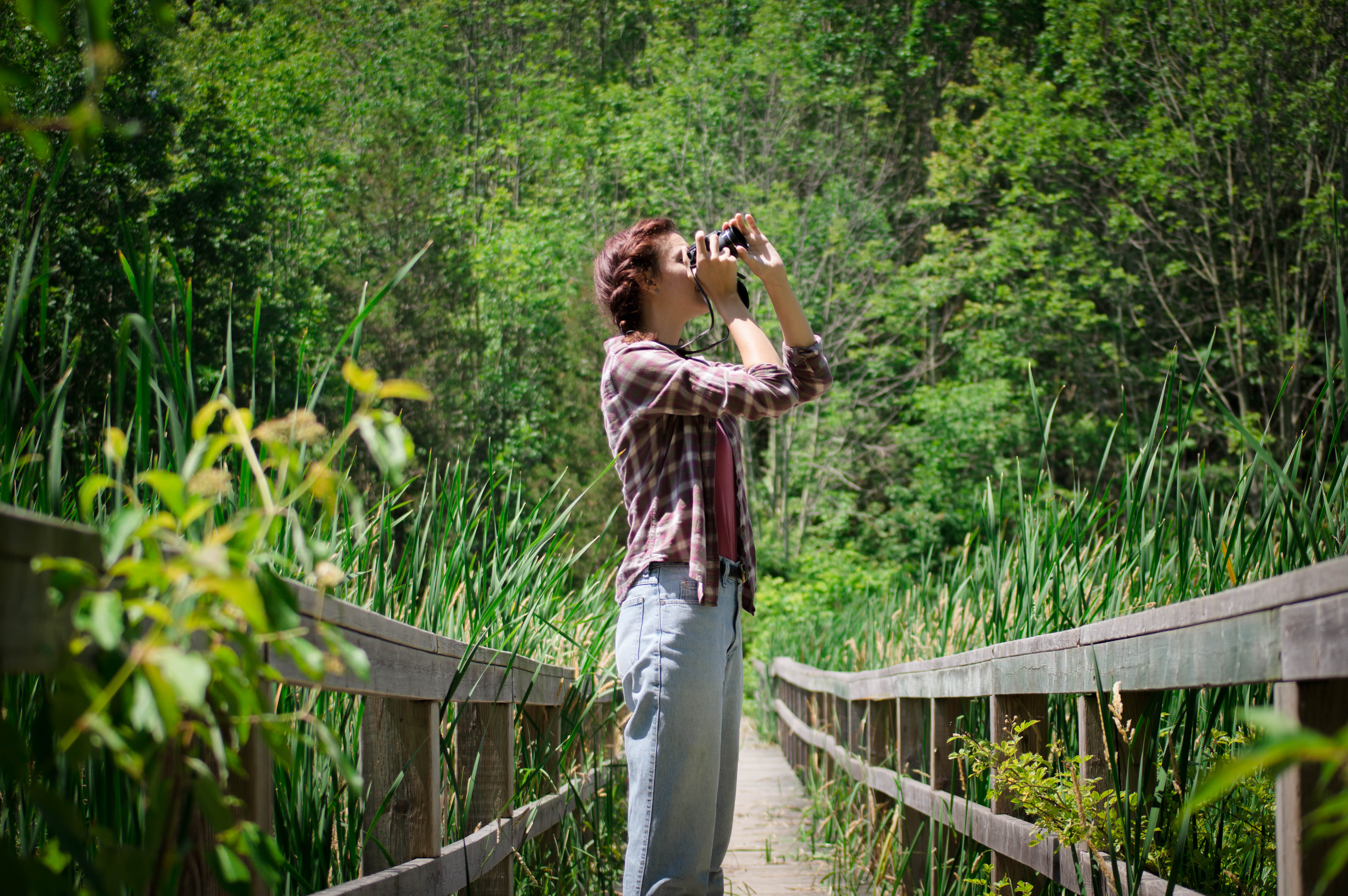 A woman takes a picture of birds on a wooden walkway