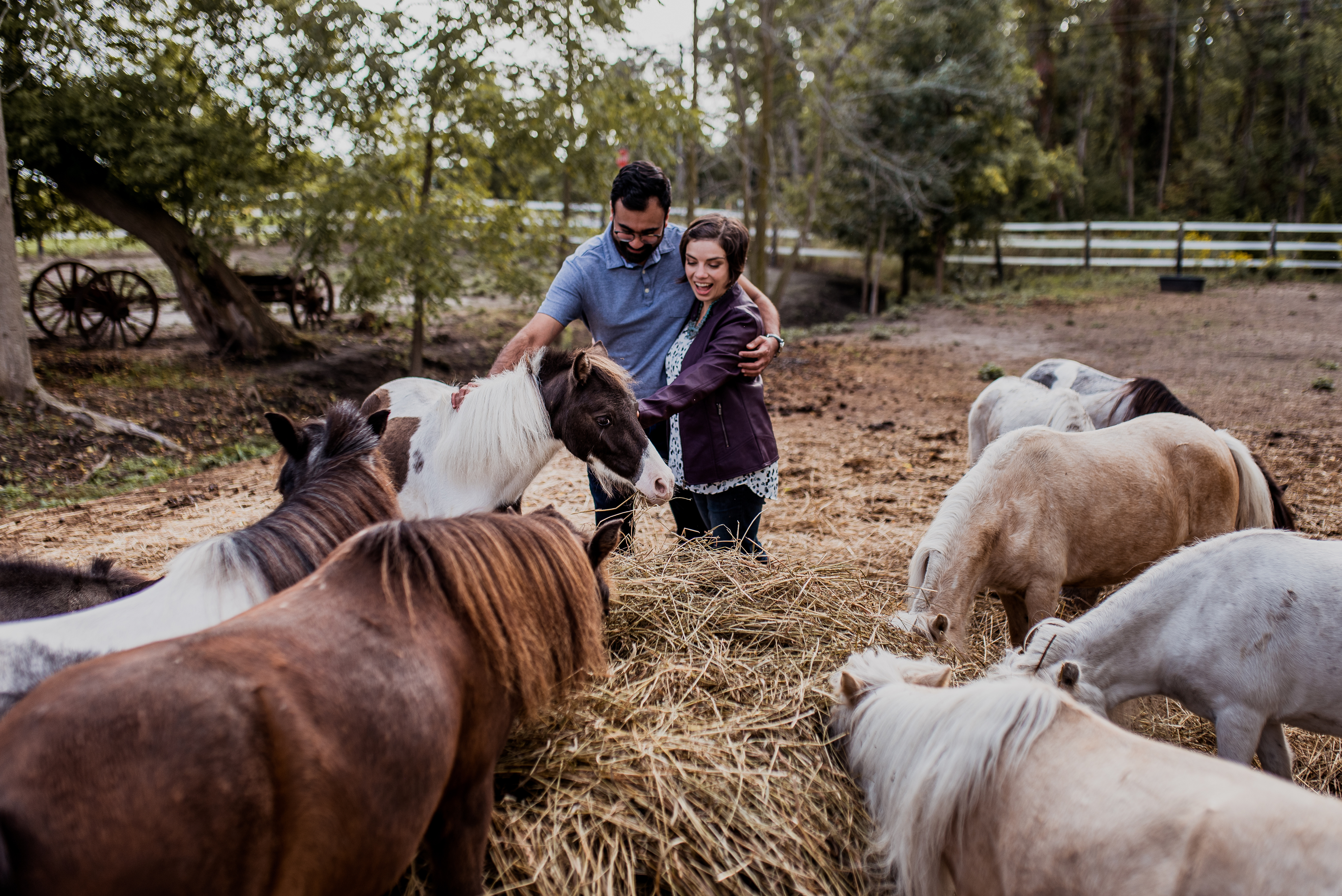 Couple petting horses
