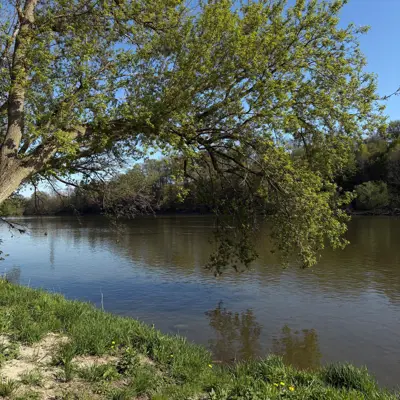 image of river from a trail