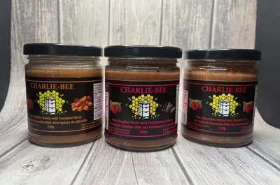 Jars of spiced honey sit on a white plank backdrop