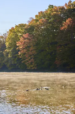 The river with fall coloured trees behind it