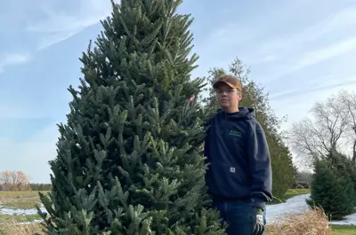 A young man stand next to a freshly cut Christmas tree