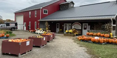 Fall produce on display outside an on-farm store
