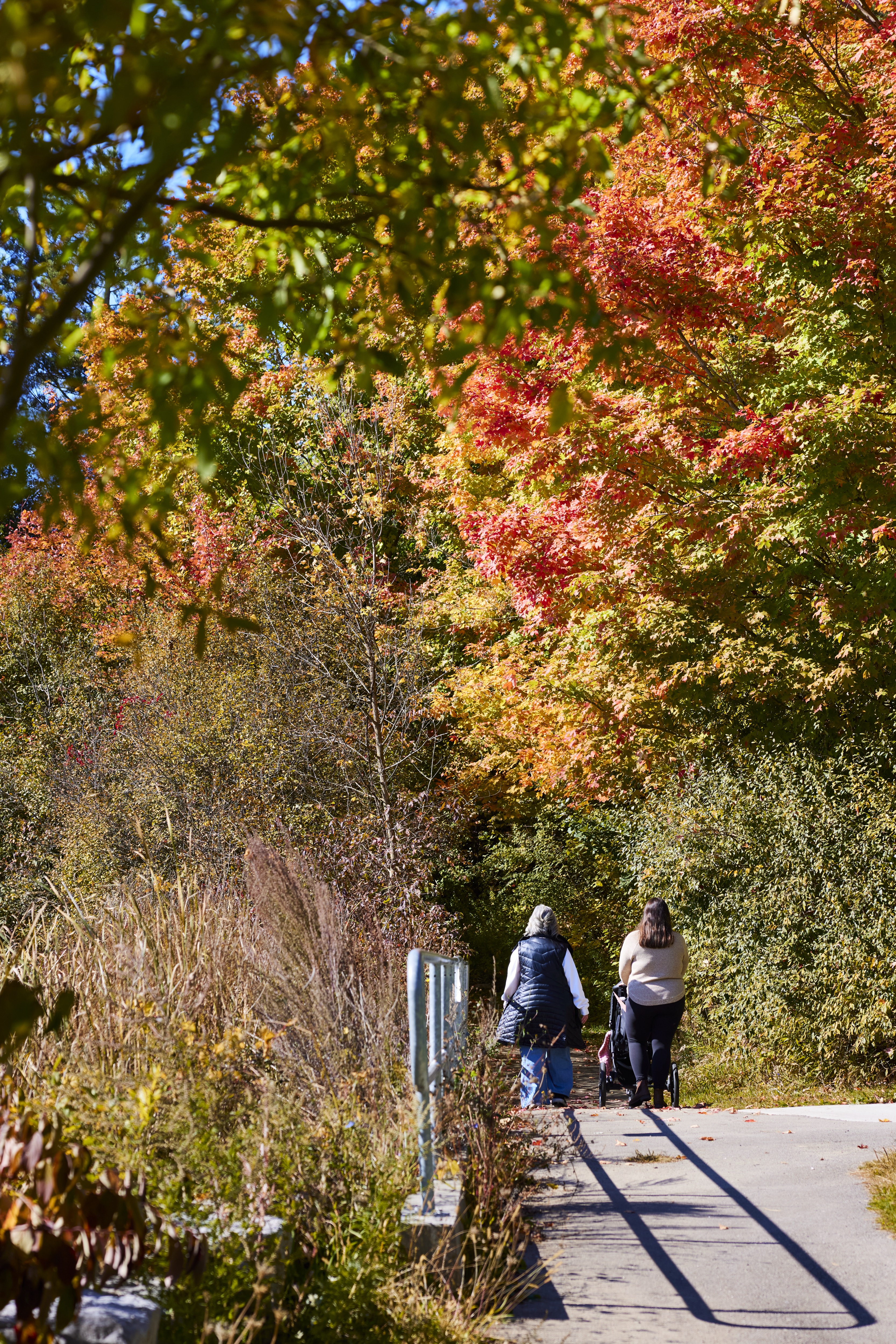 two people walking on a fall trail