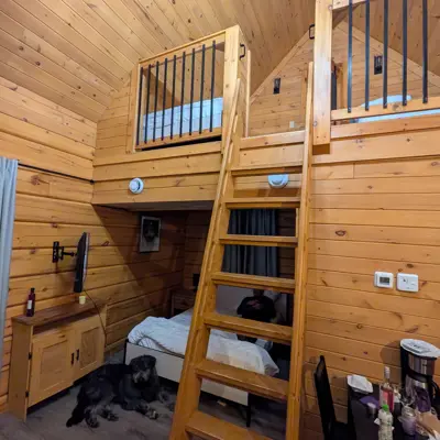 A dog lays in front of a bed in a wooden cabin with a loft