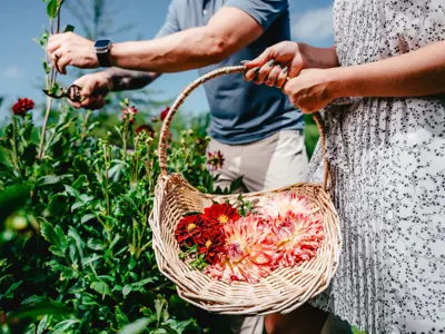 People Picking Flowers
