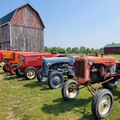 a row of antique colourful tractors outside