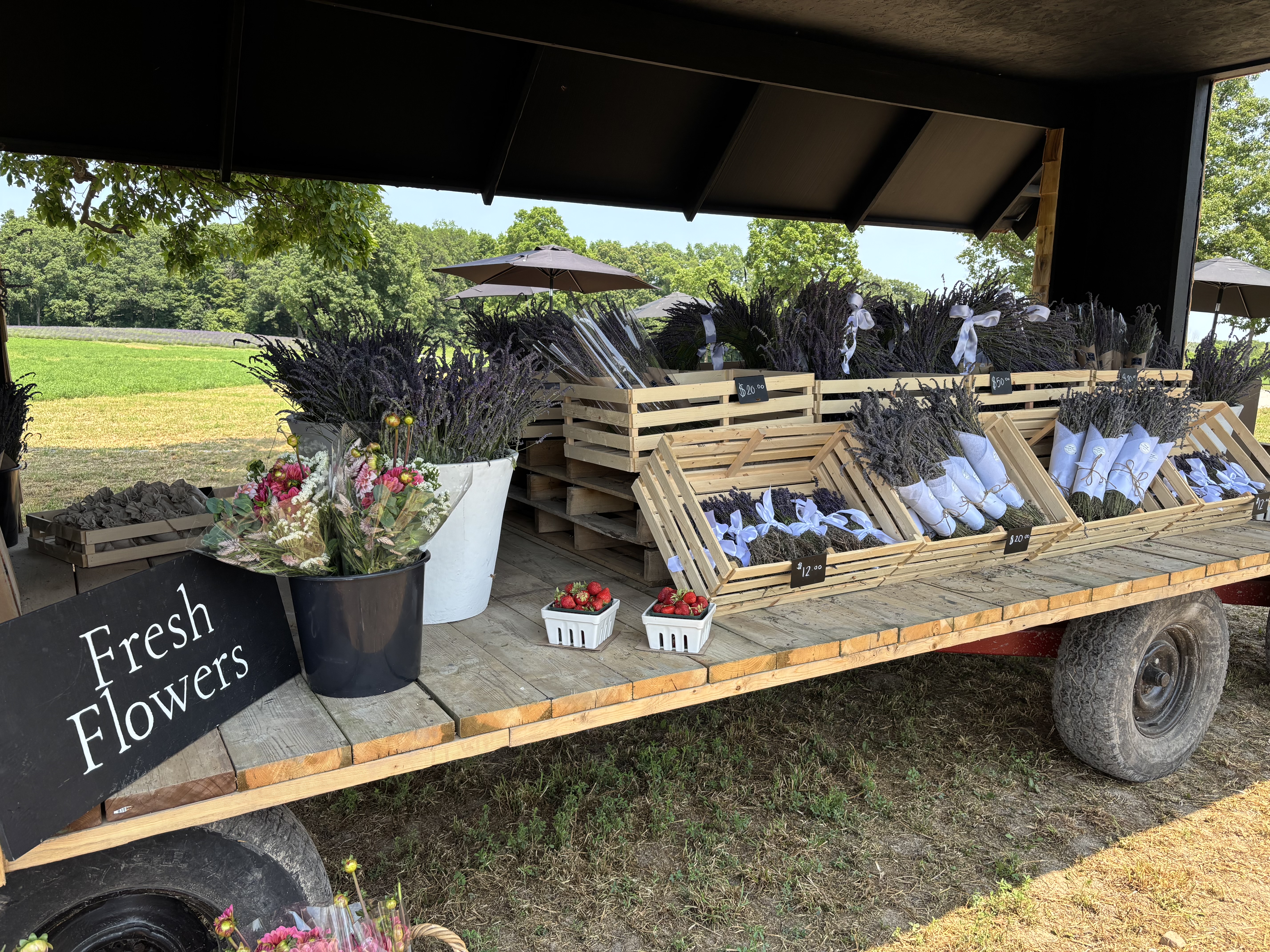 Farm stand filled with lavender, flowers and strawberreis