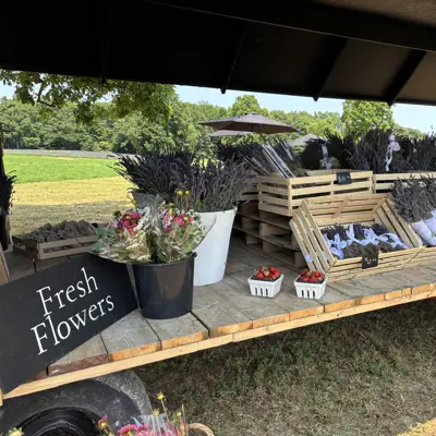 Farm stand filled with lavender, flowers and strawberreis