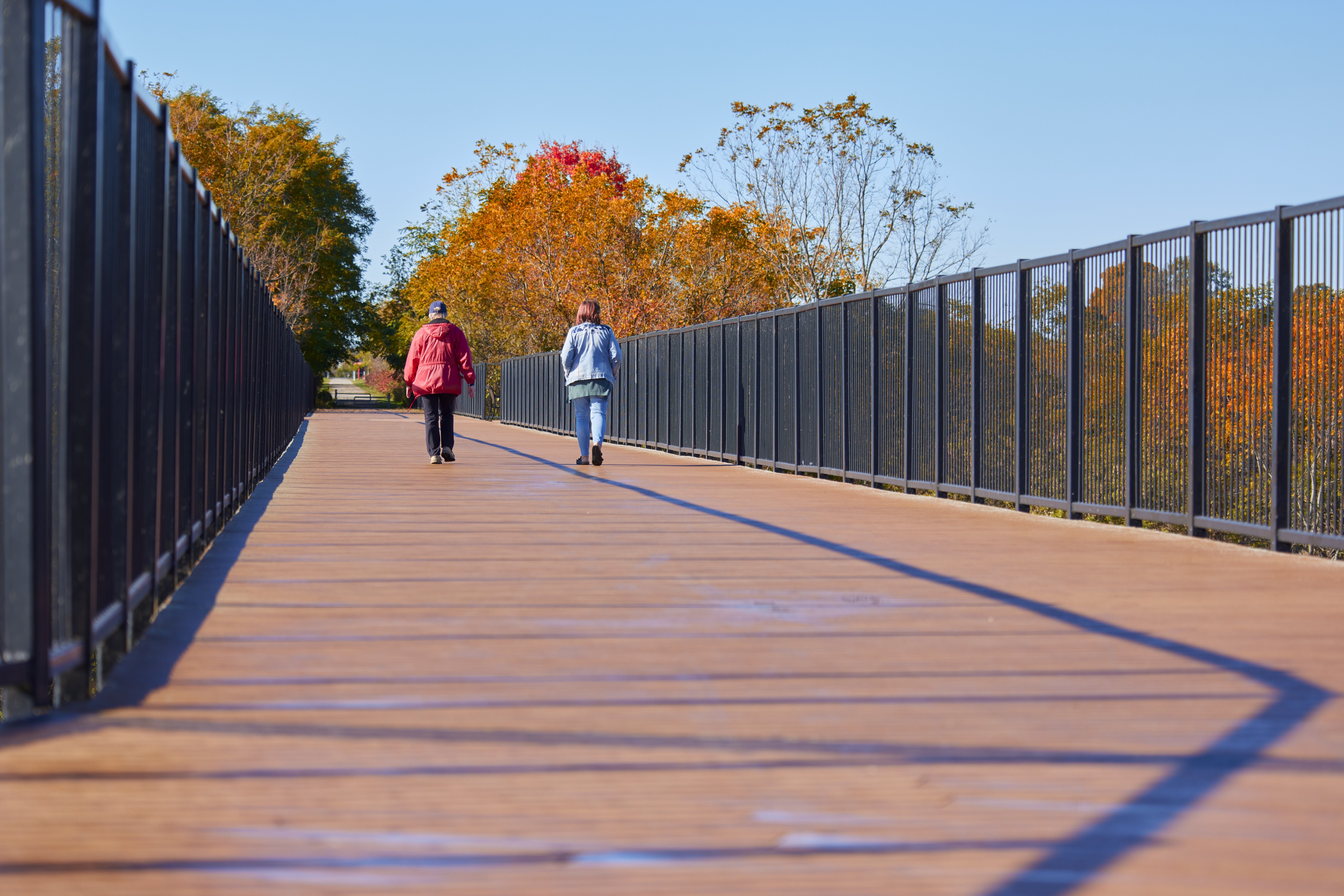 2 people walking on a bridge in the fall