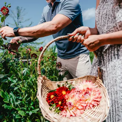 picked flowers in a basket with a man cutting more flowers behind