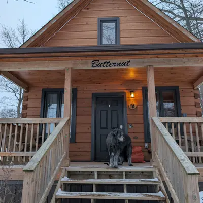 A dog stands on the porch of a rustic wooden cabin